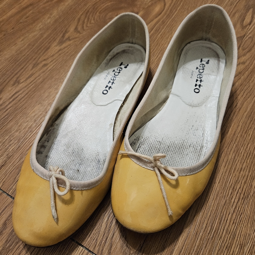 Repetto Women's Mastard Ballet Flats 37